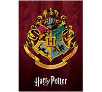 Harry Potter Case Di Hogwarts Locandina Gryffondor Serpentard Poufsouffle