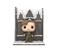 Harry Potter: Chamber of Secrets 20th Anniver Funko Pop