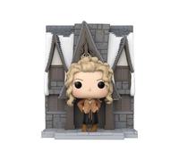 Harry Potter: Chamber of Secrets 20th Anniver Funko Pop