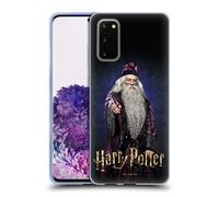 HARRY POTTER CHAMBER OF SECRETS IV CUSTODIA COVER MORBIDA IN GEL PER SAMSUNG 1