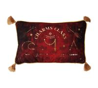 Harry Potter Charms Class velvet cushion