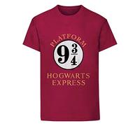 Harry Potter Childrens/Kids Hogwarts Express T-Shirt (12-13 Anni) (Maroon)