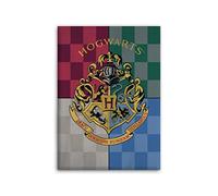 Harry Potter - Coperta Hogwarts in Pile
