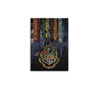 HARRY POTTER - Coperta in pile: "Hogwarts Houses Gadget