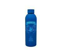Harry Potter Corvonero Acciaio Inossidabile Bottiglia 700ml Warner Bros.