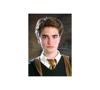 Harry Potter Cravatta Tassorosso Unisex Ufficiale Cinereplicas