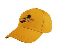 Harry Potter Curved Bill Cap Hufflepuff