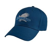 Harry Potter Curved Bill Cap Ravenclaw
