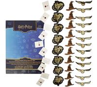 Harry Potter Decorazioni Festa Adulti Bambini, Set di 4 Corde con 40 Pz, Hogwarts Lettera di Accettazione del Banner Golden Snitch Ghirlanda di Stemmi (Multi Banners, 40 Pezzi)