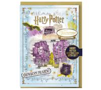 Harry Potter Diagon Alley Natale Biglietto d'Auguri (TA12961)