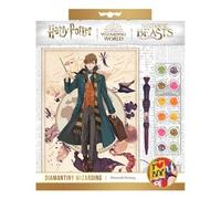 Harry Potter Dinasty DIAMANTINY Assortito 21004