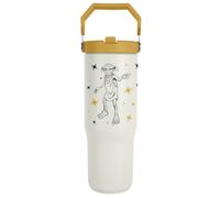 Harry Potter Dobby thermos tumbler 880ml Pyramid