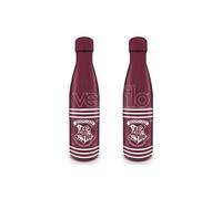 Harry Potter - Borraccia di metallo con stemma e strisce