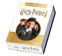 Harry Potter en 365 jours