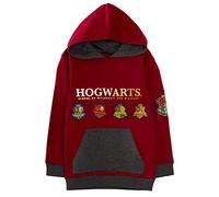Harry Potter Felpa con Cappuccio Bambini Hogwarts House Teams Crest Felpa con Cappuccio in Pile con Cappuccio