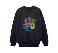 Harry Potter Felpa Emblema H Spray Ragazzi (BI20305)