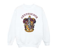 Harry Potter Felpa Gryffindor Ragazzi (BI796)