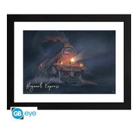 HARRY POTTER - Framed print "Hogwarts Express" (30 0)