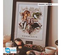 HARRY POTTER - Framed print "Hogwarts Water Colour" (30 0)
