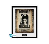 HARRY POTTER - Framed print "Undesirable No 1" (30x40)