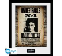 HARRY POTTER - Framed print "Undesirable No 1" (30x40)
