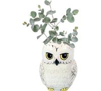Harry Potter: Half Moon Bay - Hedwig (Shaped Wall Vase / Vaso Da Parete) -