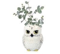 Half Moon Bay: Vaso Fiori Harry Potter Hedwig | Vaso Fiori da Appendere personalizzato Hedwig, Licenza Ufficiale 100%, ideale come decorazione casa, vaso portafiori o harry potter gadget