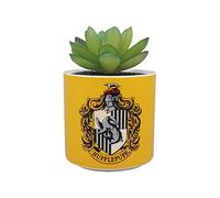 Harry Potter Half Moon Bay - Vaso per piante da interno, in ceramica, per interni, vasi per piante da interni, vasi decorativi per interni, idea regalo per interni, vaso per piante con Tassorosso