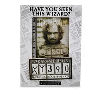 Harry Potter " Have You Visto Questo Mago " Foto Telaio Porta 10.2x15.2cm