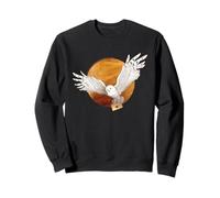 Harry Potter Hedwig and the Moon Felpa