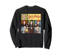 Harry Potter Heroes of Hogwarts Felpa