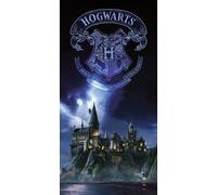 Harry Potter: Hogwarts 30 X 60 Cm Glass Poster -