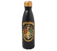 Grupo Erik: Bottiglia termica Harry Potter Hogwarts 500 ml | Borraccia termica a doppia parete in acciaio inox, chiusura ermetica e BPA free, Harry Potter Gadget