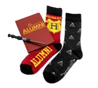 Harry Potter Hogwarts Alumni Journal E Set Di Calzini