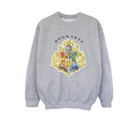 Harry Potter Hogwarts Felpa Emblema Ragazzi (BI20578)