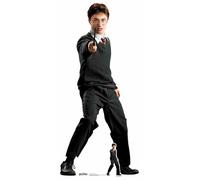 Harry Potter Hogwarts Scuola Uniforme Lifesize Cartone Ritaglio Daniel Radcliffe