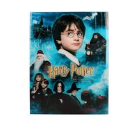 Harry Potter - Impression en Verre - Philosopher's Stone - 30X40 cm, (P.Derive)
