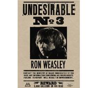 Harry Potter Locandina Set Hermione Ron Weasley Dumbledore Bellatrix A4/A3