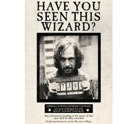 Harry Potter Locandina Set Hermione Ron Weasley Dumbledore Bellatrix A4/A3