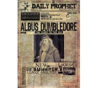 Harry Potter Locandina Set Hermione Ron Weasley Dumbledore Bellatrix A4/A3