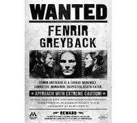 Harry Potter Locandina Set Hermione Ron Weasley Dumbledore Bellatrix A4/A3
