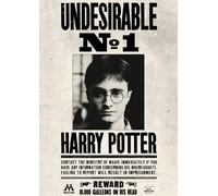 Harry Potter Locandina Set Hermione Ron Weasley Dumbledore Bellatrix A4/A3