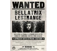 Harry Potter Locandina Set Hermione Ron Weasley Dumbledore Bellatrix A4/A3