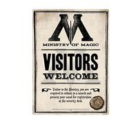 Harry Potter Ministerio de magia A5acciaio Signo