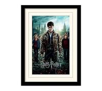 HARRY POTTER - Mounted & Framed 30X40 Print - Deat NUOVO