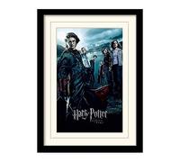 HARRY POTTER - Mounted & Framed 30X40 Print - Gobl NUOVO