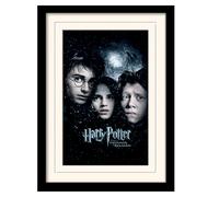 HARRY POTTER - Mounted & Framed 30X40 Print - Pris NUOVO