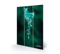 Harry Potter MW11966P Print on Wood 20 x 29.5 cm (Patronus), Multi-Colour, 5 x 1