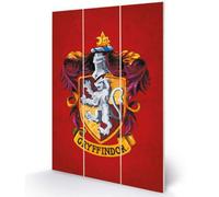 Harry Potter MW12843P Wooden Wall Art, Multicoloured, 20 x 29.5cm 20 x 29.5cm Mu
