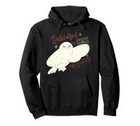 Harry Potter Nuovo Design 2025 Consegnato da Hedwig Felpa con Cappuccio